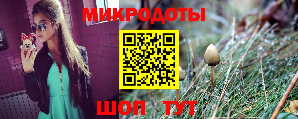 Миллерово  Галлюциногенные грибы Psilocybine cubensis  Галлюциногенные грибы прущие грибы  Вход с VPN 
